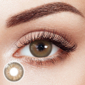 Early Autumn Brown Yearly Contact Lenses | 2 Pcs