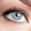 Lullaby Gray 6 Months Contact Lenses