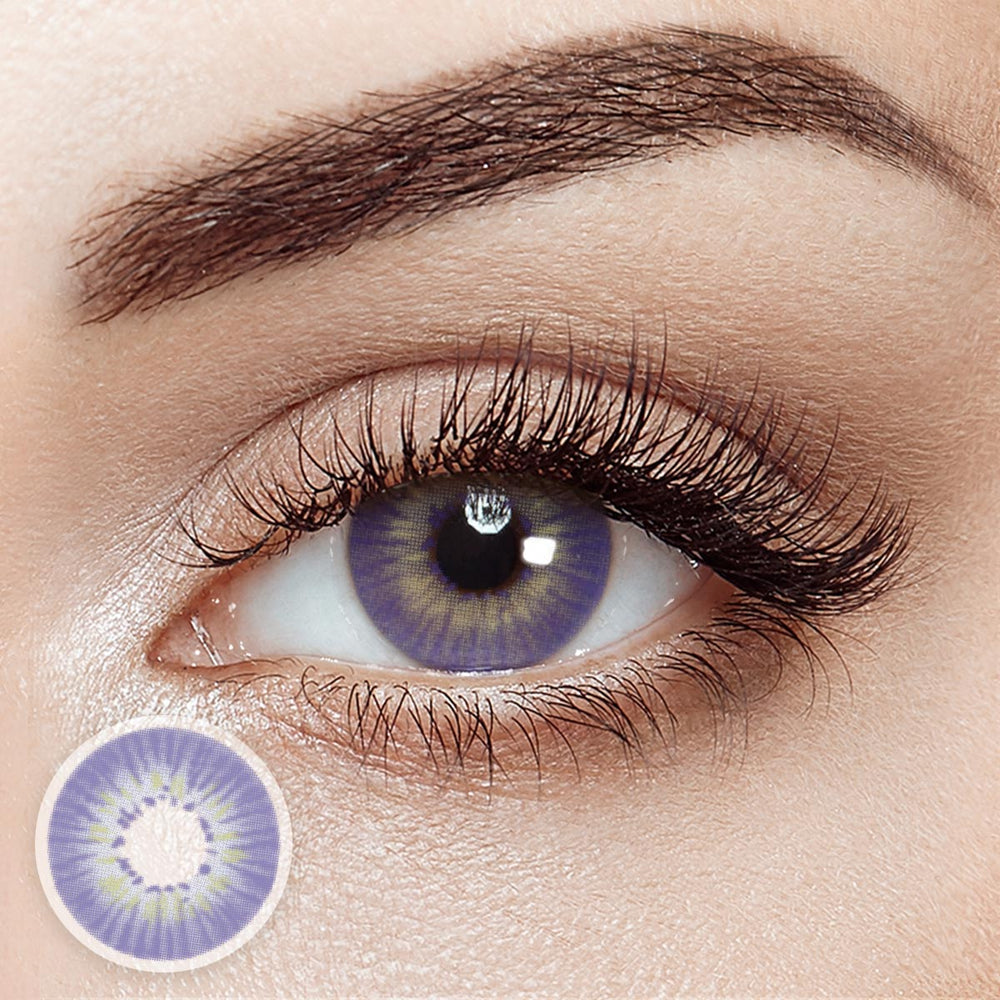 Echo Purple 6 Months Contact Lenses