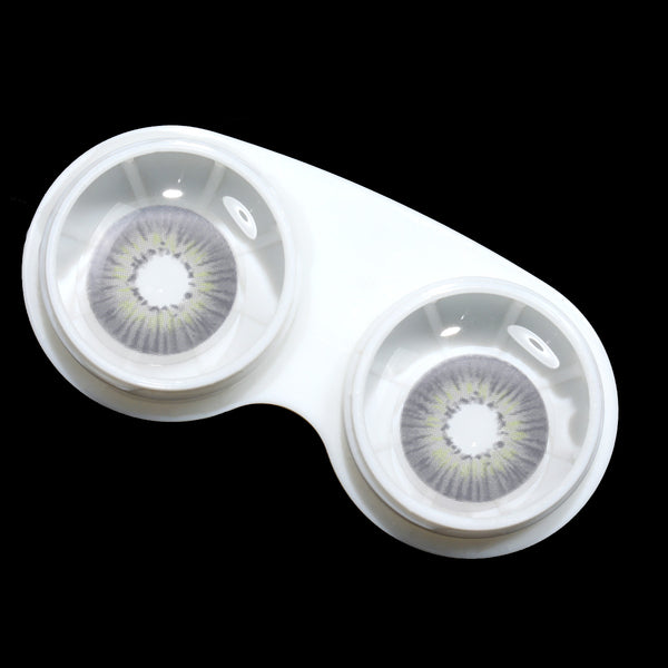 Echo Gray 6 Months Contact Lenses