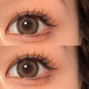 Gingerbread Brown Yearly Contact Lenses
