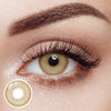 Pola Brown Yearly Contact Lenses