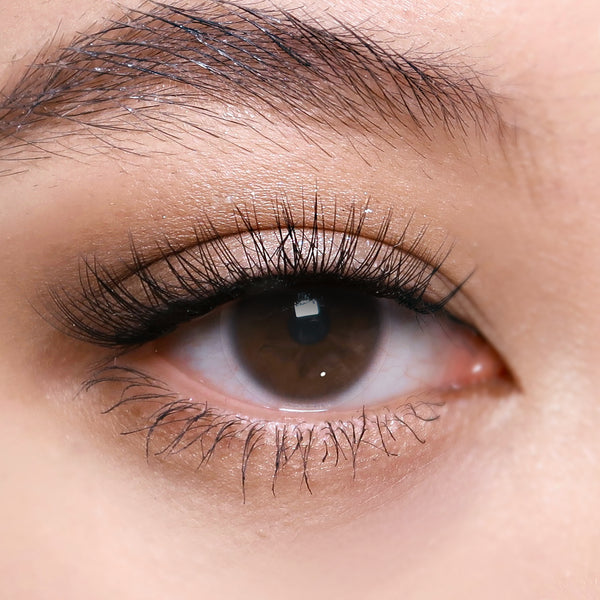 Clear Prescription 6 Months Contact Lenses | 2 Pcs