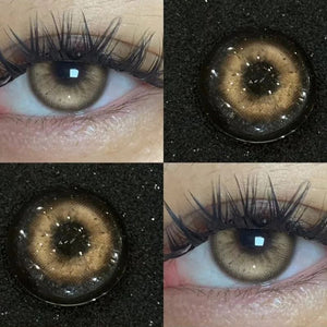 Roman Holiday Brown Yearly Contact Lenses