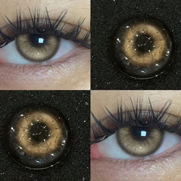 Roman Holiday Brown Yearly Contact Lenses