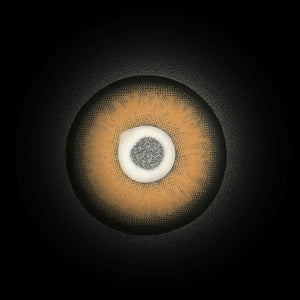 Himalayan Brown Yearly Contact Lenses