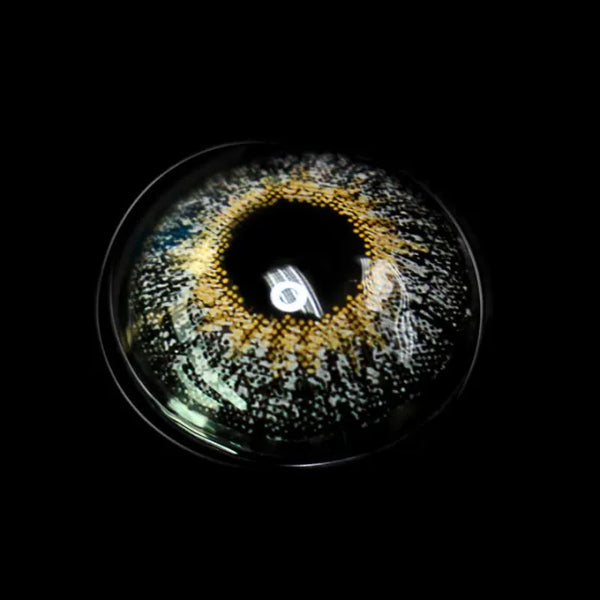 Polar Lights Grey Prescription 6 Months Contact Lenses