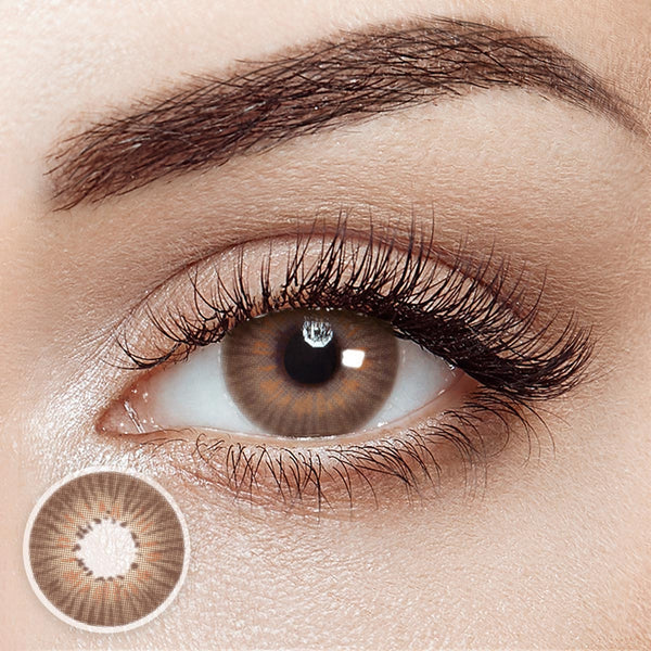 Echo Brown 6 Months Contact Lenses