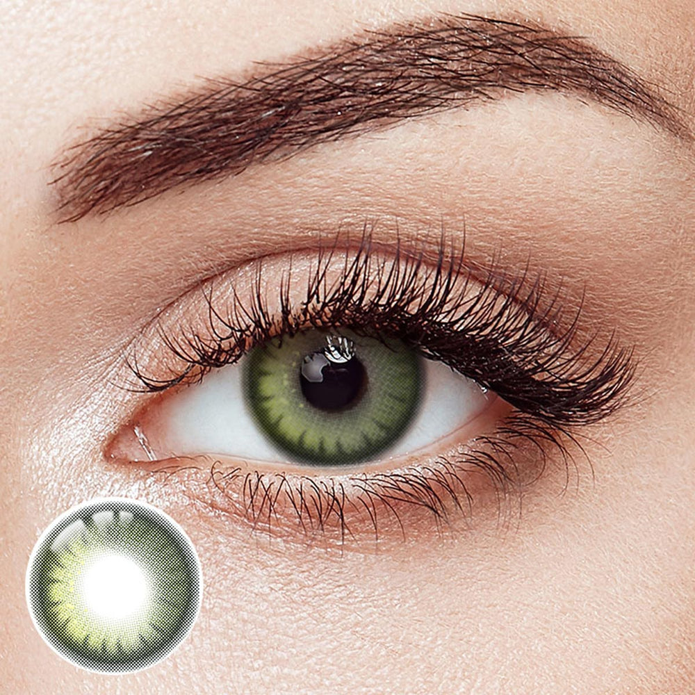 Verve Green Brown 6 Months Contact Lenses | 2 Pcs