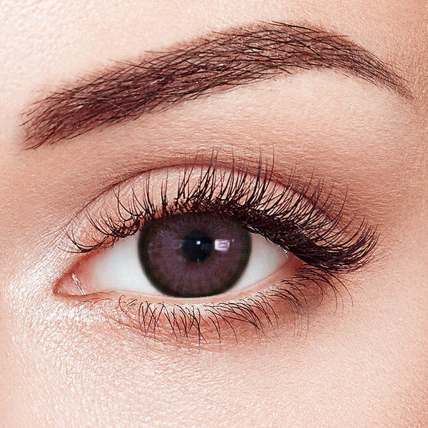 Amber Violet 6 Months Contact Lenses