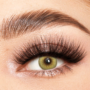 LA Girl Brown Yearly Contact Lenses
