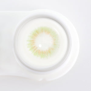 Spanish Real Olive Yearly Contact Lenses