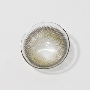 Blush Gray Prescription 6 Months Contact Lenses