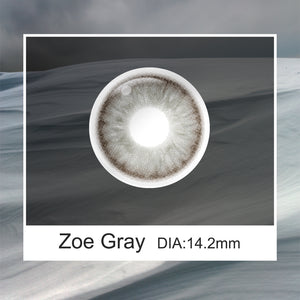 Blush Gray Prescription 6 Months Contact Lenses