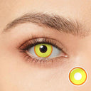 Marigold Halo Yellow Costume Yearly Contact Lenses | 2 Pcs