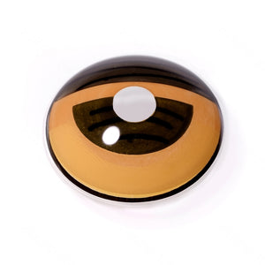 Hazelnut Black Costume Yearly Contact Lenses
