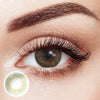 Spanish Real Olive Yearly Contact Lenses
