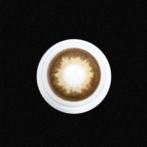 Immersing Brown 6 Months Contact Lenses