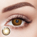 Immersing Brown 6 Months Contact Lenses