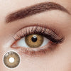 Pattaya Brown Yearly Contact Lenses
