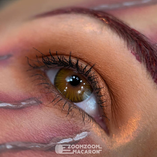 Immersing Brown 6 Months Contact Lenses