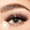 Polar Lights Brown Yearly Contact Lenses
