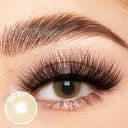 Polar Lights Brown Yearly Contact Lenses