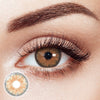 Cleopatra Brown Daily Contact Lenses | 10 Pcs