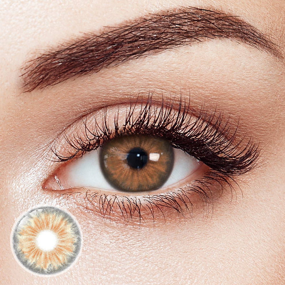 Cleopatra Brown Daily Contact Lenses | 10 Pcs