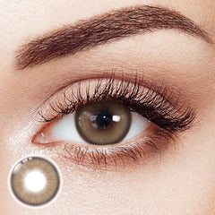 Gingham Brown 6 Months Contact Lenses | 2pcs