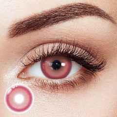Sheen Red Prescription 6 Months Contact Lenses | 2pcs