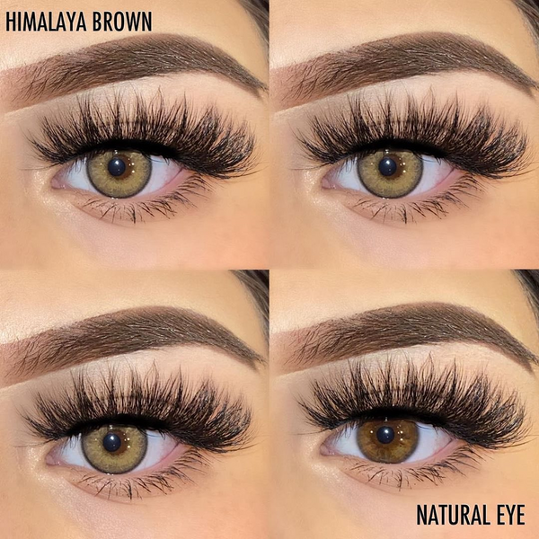 Himalayan Brown Yearly Contact Lenses