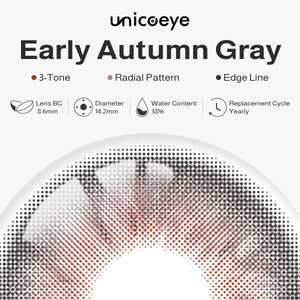 Early Autumn Gray Yearly Contact Lenses | 2 Pcs