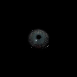 [US Warehouse] New York N Grey Prescription Monthly Contact Lenses