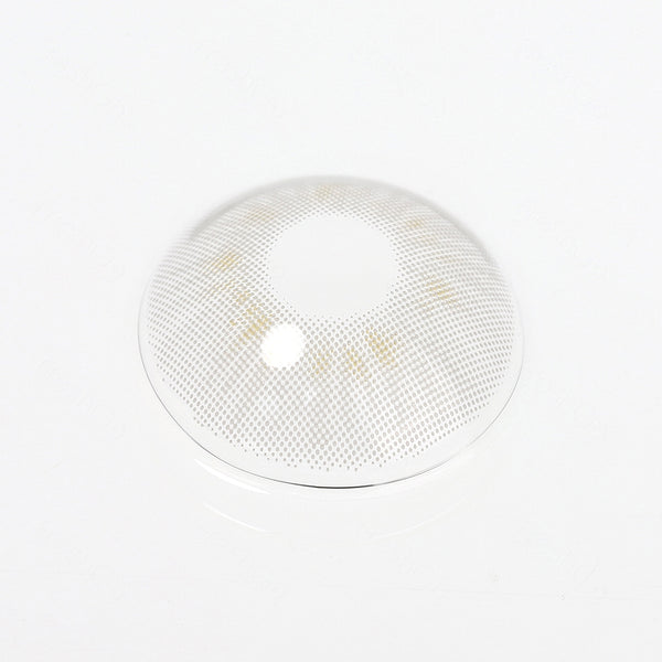 Alaska Seal Gray Contact Lenses