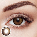 Verve Glossy Brown 6 Months Contact Lenses | 2 Pcs