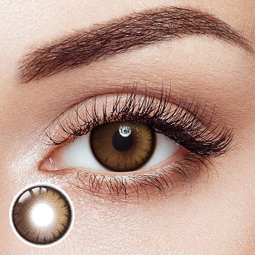 Verve Glossy Brown 6 Months Contact Lenses | 2 Pcs