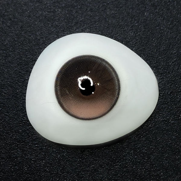 Lume Brown Prescription Yearly Contact Lenses | 2 Pcs