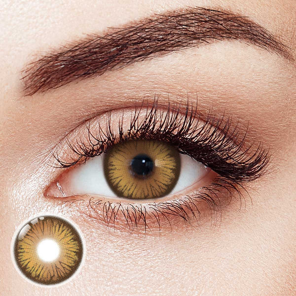 Enchantress Brown Yearly Contact Lenses