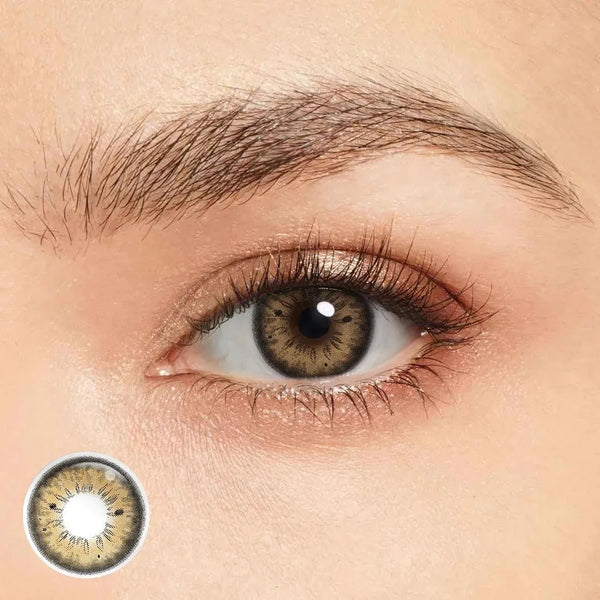 HC2 Sage Brown 6 Months Contact Lenses