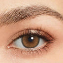 ROZE AIRY Pumpking Brown Contact Lenses