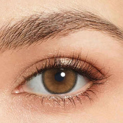 ROZE AIRY Pumpking Brown Contact Lenses