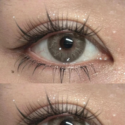 Cambridge Brown Yearly Contact Lenses