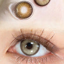Baroque Brown Yearly Contact Lenses