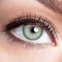 Pola Green Yearly Contact Lenses