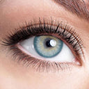 Pola Blue Yearly Contact Lenses
