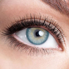 Pola Blue Yearly Contact Lenses