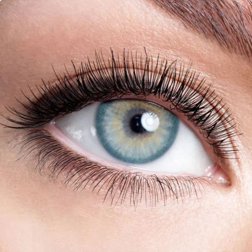 Pola Blue Yearly Contact Lenses