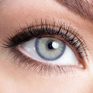 Pola Purple Yearly Contact Lenses