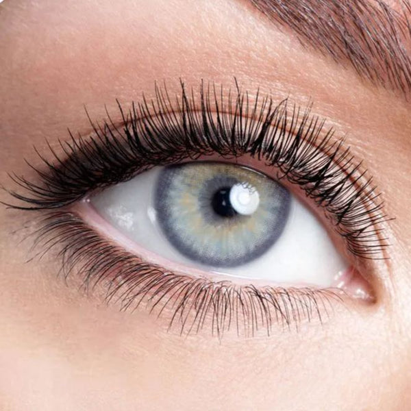 Pola Purple Yearly Contact Lenses